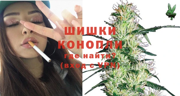 Альфа ПВП Инта