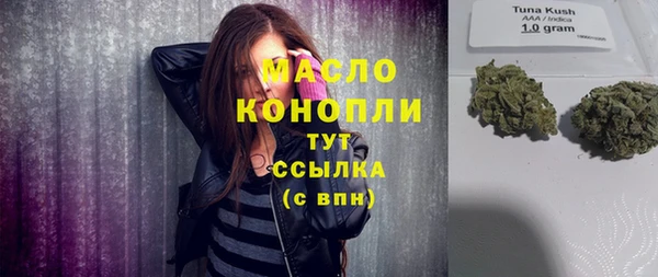 Альфа ПВП Инта